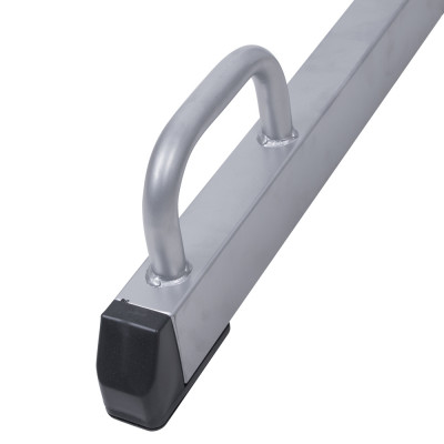 Freestanding Parallel Bars inSPORTline Power Tower PT050 3