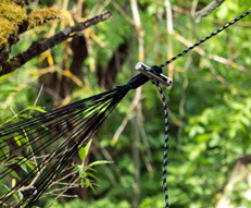 Amazonas Micro Rope fastening cord for hammock 3