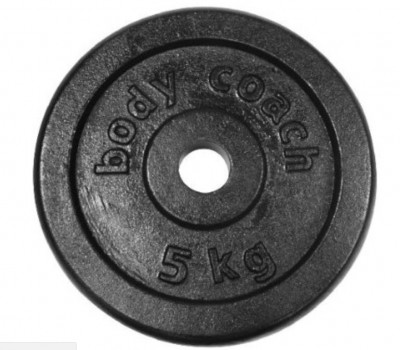 Iron plate Insportline 15 kg 2