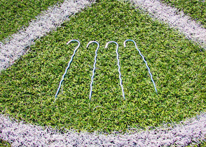 Buffalo soccer goal euro cup 2