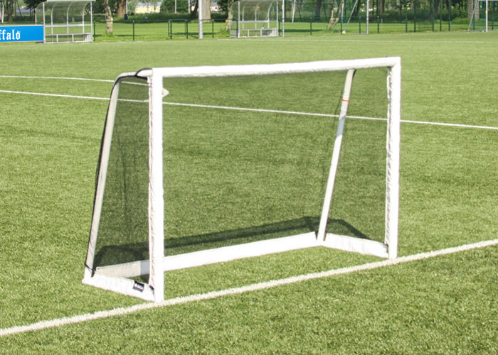 Buffalo soccer goal champ cup 3