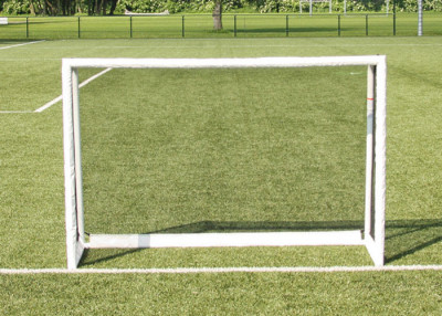 Buffalo soccer goal champ cup 4