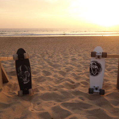 Fish penny board classic wood 25