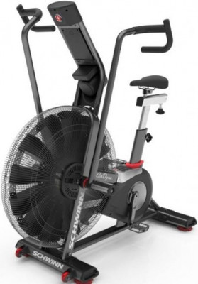 Schwinn Airdyne AD8 Pro