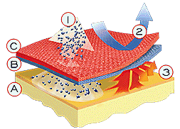 Brubeck thermobroek THERMO Grijs (Heren) 4