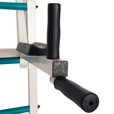 Benchbark Wall Bars Champion 3