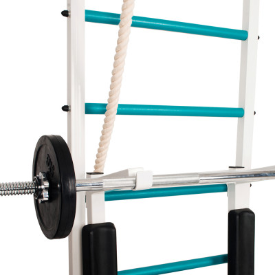 Benchbark Wall Bars Champion 4