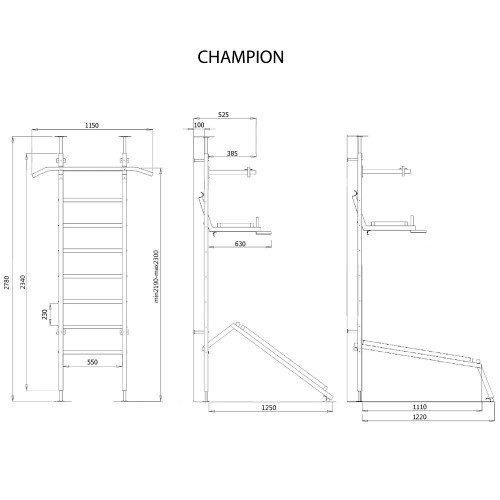 Benchbark Wall Bars Champion 5