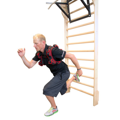 Insportline Wall Bars 245 x 90 cm 3