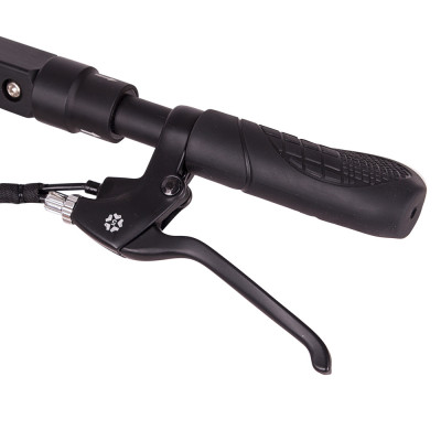 Insportline Skootie E-Scooter 2