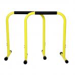 Parallel_fitness_bars_PU1000