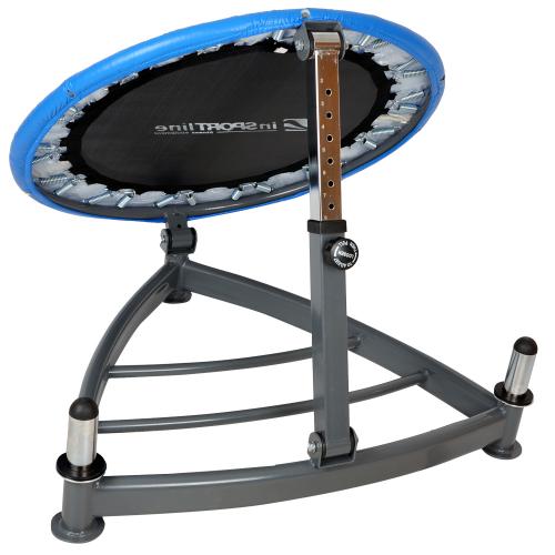 Medicinebal Rebounder 1