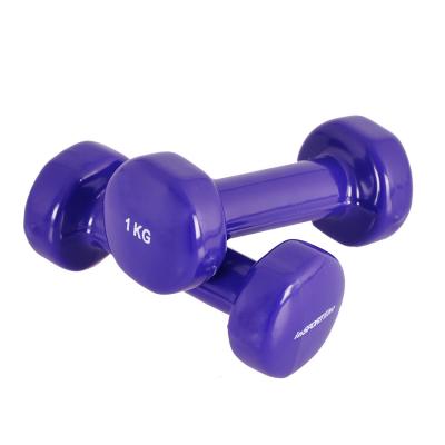 Insportline vinyl dumbbell set (2 x 1 kg)