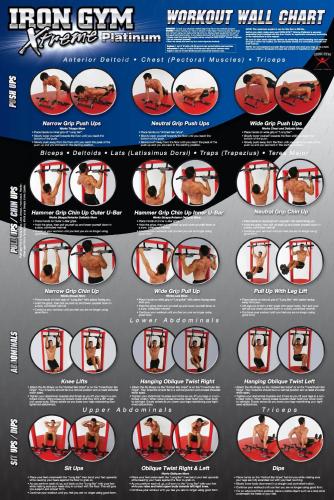 Iron Gym® Xtreme Platinum 1