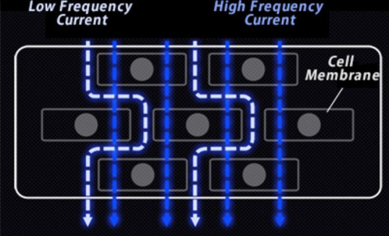 Tanita Body Composition Analyser RD-953 WHITE 5