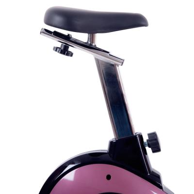 Insportline hometrainer Klegan 7