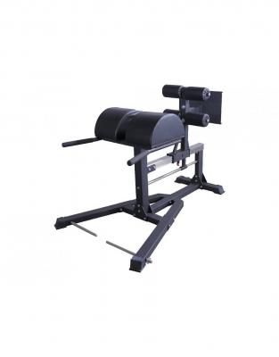 Crossmaxx glute ham developer pro