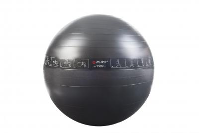 Pure2improve trainer gymball (75cm)