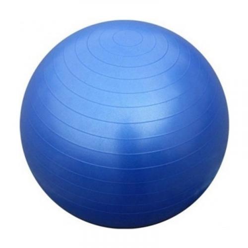Universele gymbal fitnessbal (65 cm) 2