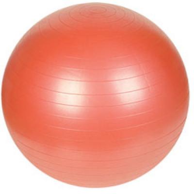 Universele gymbal fitnessbal (65 cm) 5