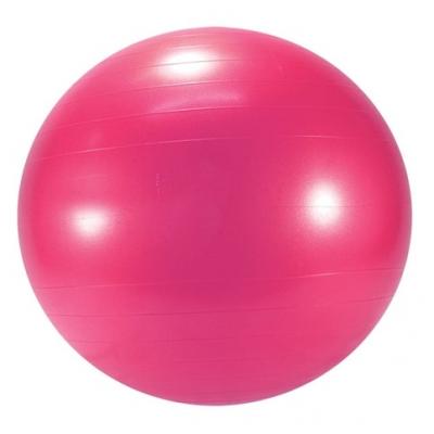 Universele gymbal fitnessbal (65 cm) 6