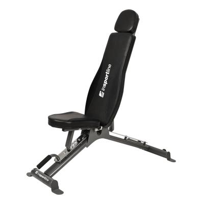 Insportline Adjustable Sit-Up Bench Hero AB50