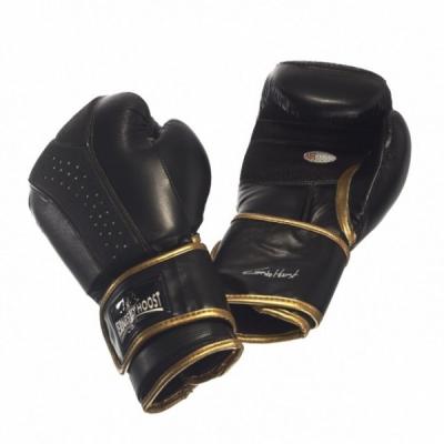 Ernesto Hoost Ultimate Boxing Gloves
