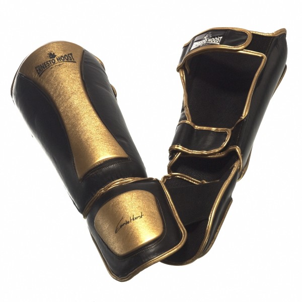 Ernesto Hoost free fight shin-n-tep