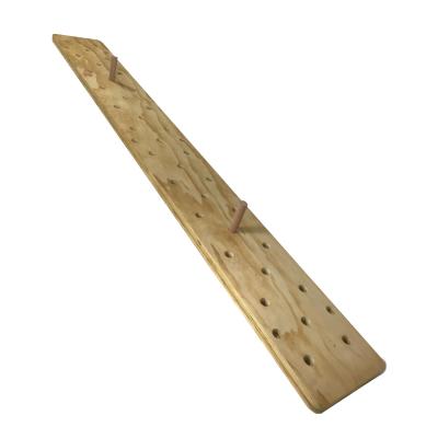 Strongman Cross-Fit XL Peg board 2,4 m