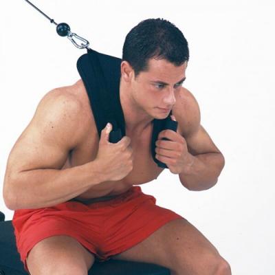 Insportline AB crunch harness 1