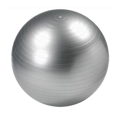 Universele gymbal fitnessbal (55 cm)