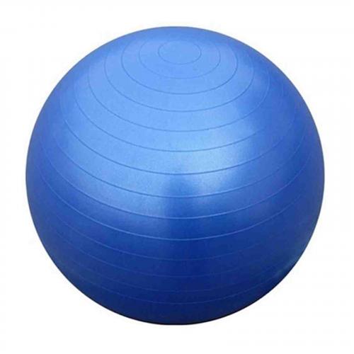 Universele gymbal fitnessbal (55 cm) 1