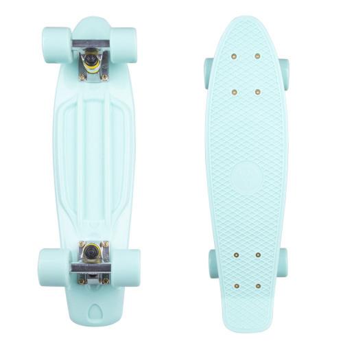 Fish penny board classic 22” 5