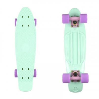 Fish penny board classic 22” 7