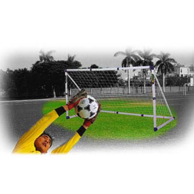  Spartan youth football goal 1