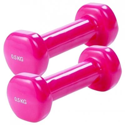 Vinyl dumbell set 2 x 0,5 kg