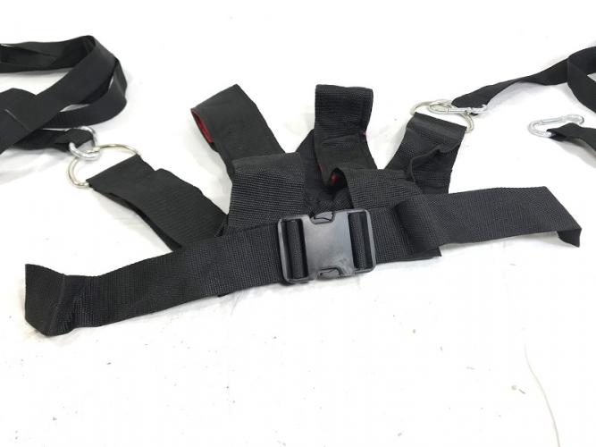 Harness for power sledge 3