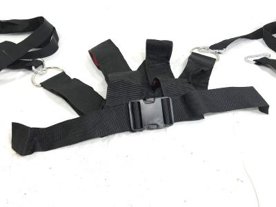 Harness for power sledge 3