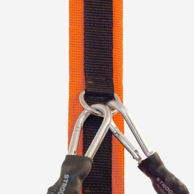 Stroops Spine Strap 1
