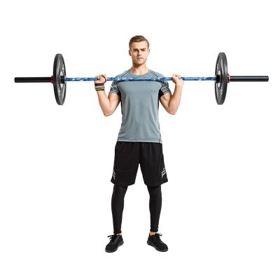 Olympic Barbell inSPORTline OB-86 PCWC 2