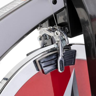 Insportline Spinning Bike Signa 7