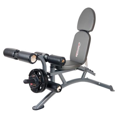 Verstelbare Workout Bench inSPORTline Hero AB70