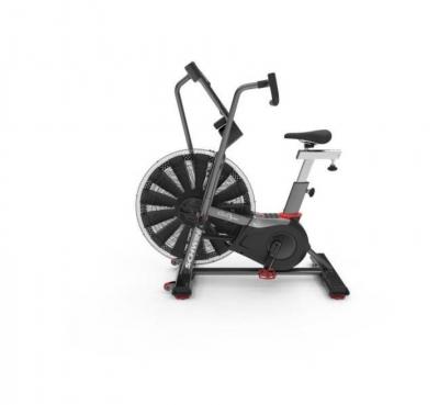Schwinn Airdyne AD8i PRO HIIT Airbike 2