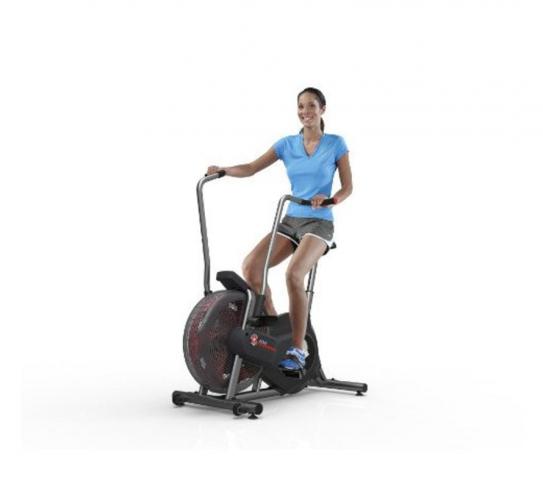 Schwinn Airdyne AD2i HIIT Airbike 2