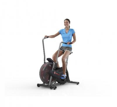 Schwinn Airdyne AD2i HIIT Airbike 2