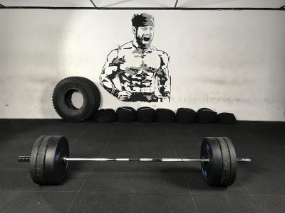 Olympische halterstang Strongman (220 cm) 7
