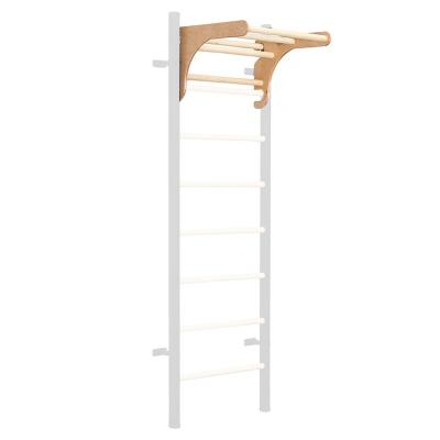 De hangende optrekstang voor Wall Bars Benchmark