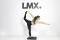 LifeMaxx Balance pad