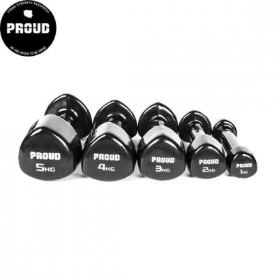 Proud vinyl dumbbell Set (1 t/m 5 kg)