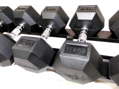 Hex Dumbbells 220 kg 2,5 to 22,5 kg 3